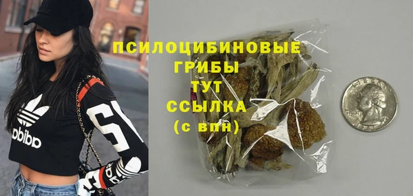 a pvp Медногорск