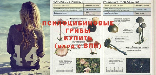 мескалин Михайлов