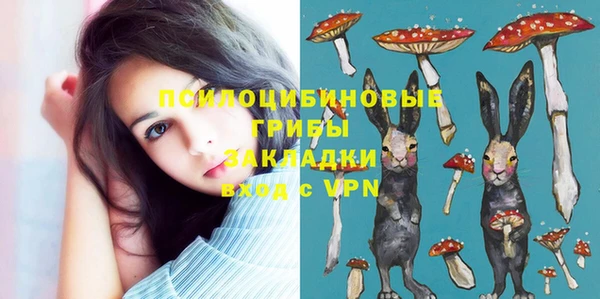 spice Снежногорск